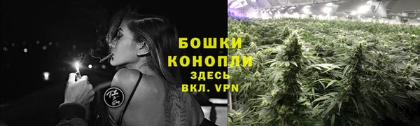 гашик Вяземский
