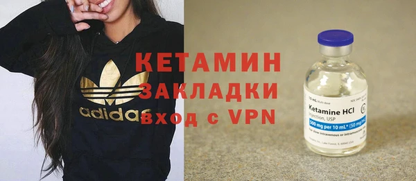 гашик Вяземский