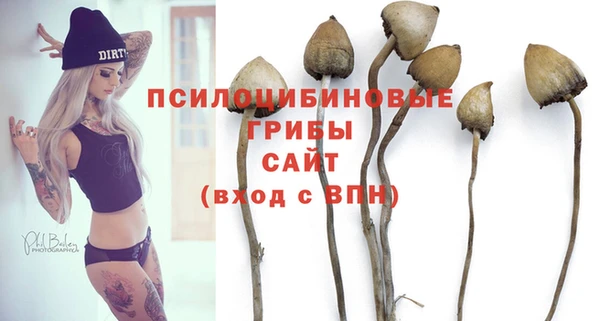 mix Вязьма