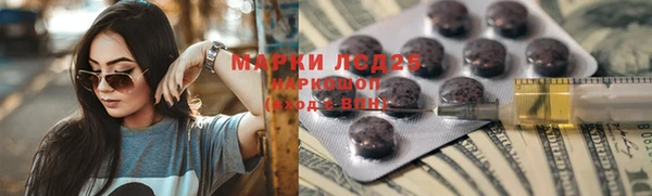 гашик Вяземский