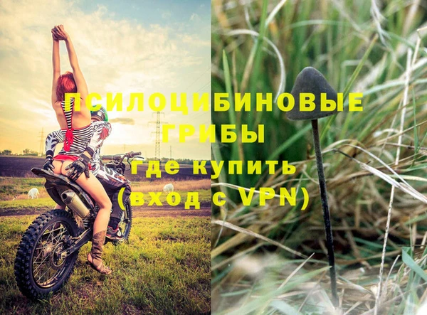сатива Вязники
