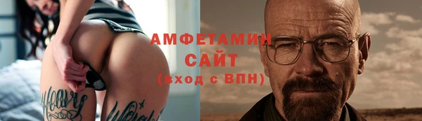 гашик Вяземский
