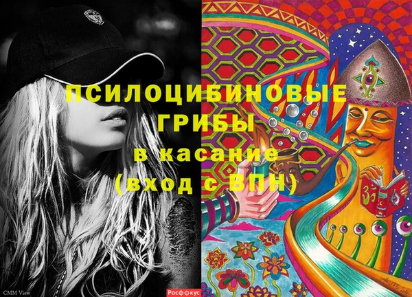 сатива Вязники