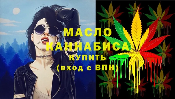 гашик Вяземский