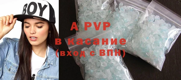 гашик Вяземский