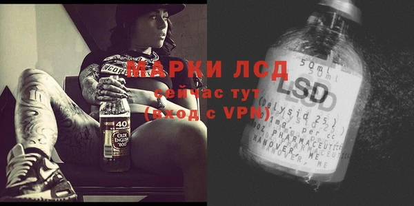 гашик Вяземский