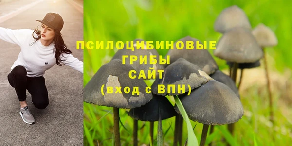 гашик Вяземский