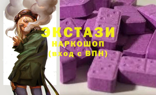 гашик Вяземский