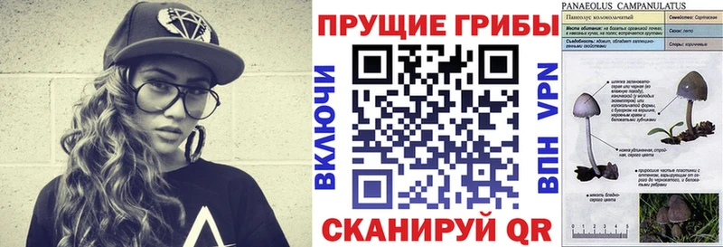 Псилоцибиновые грибы Cubensis  Снежинск 